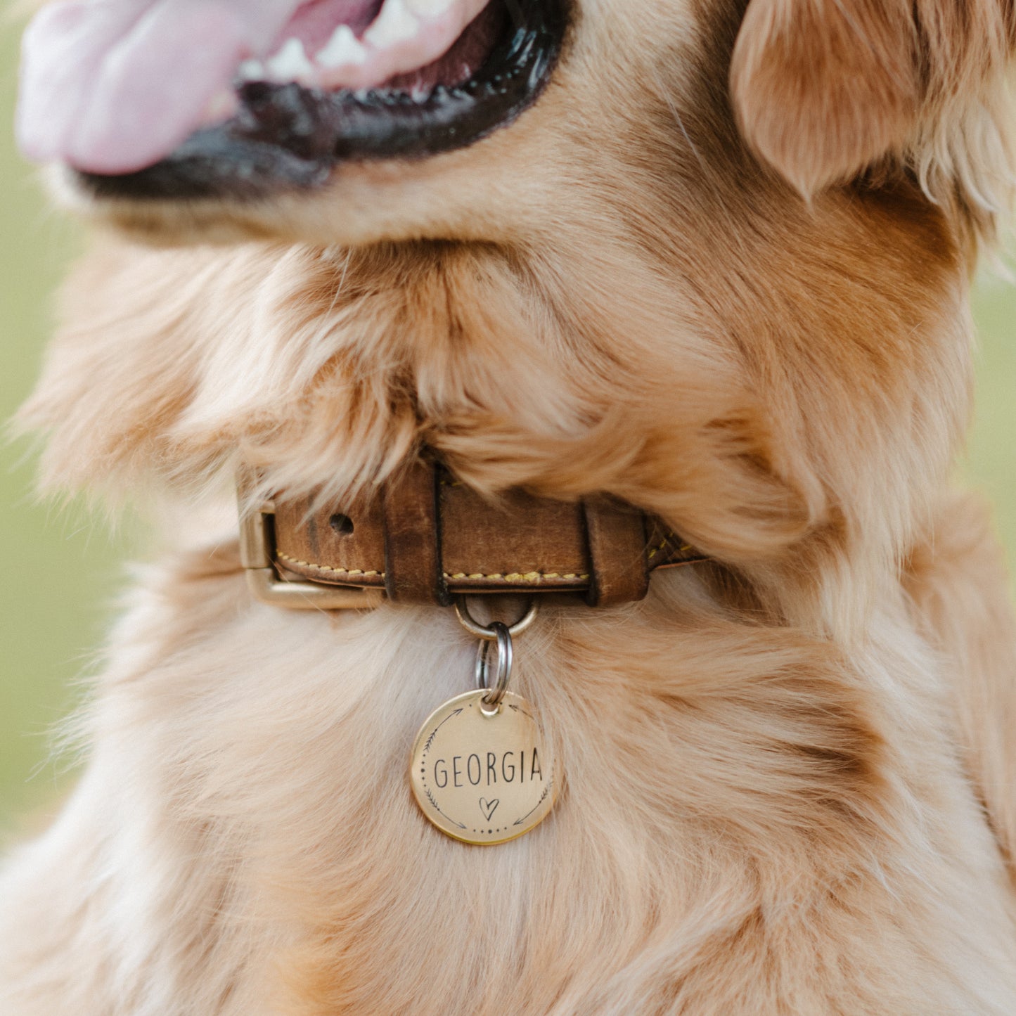 Personalized Dog Tag & Custom Cat Tag