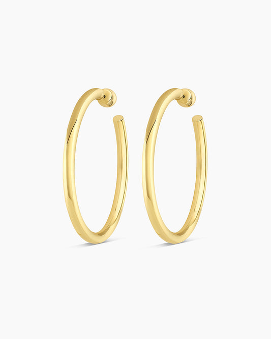 Carter Statement Hoops