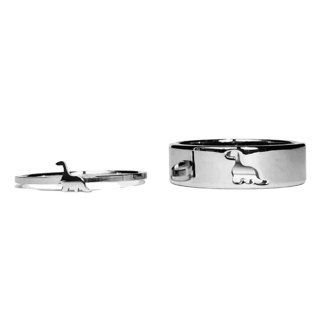 Dinasour Puzzle Matching Couple Rings