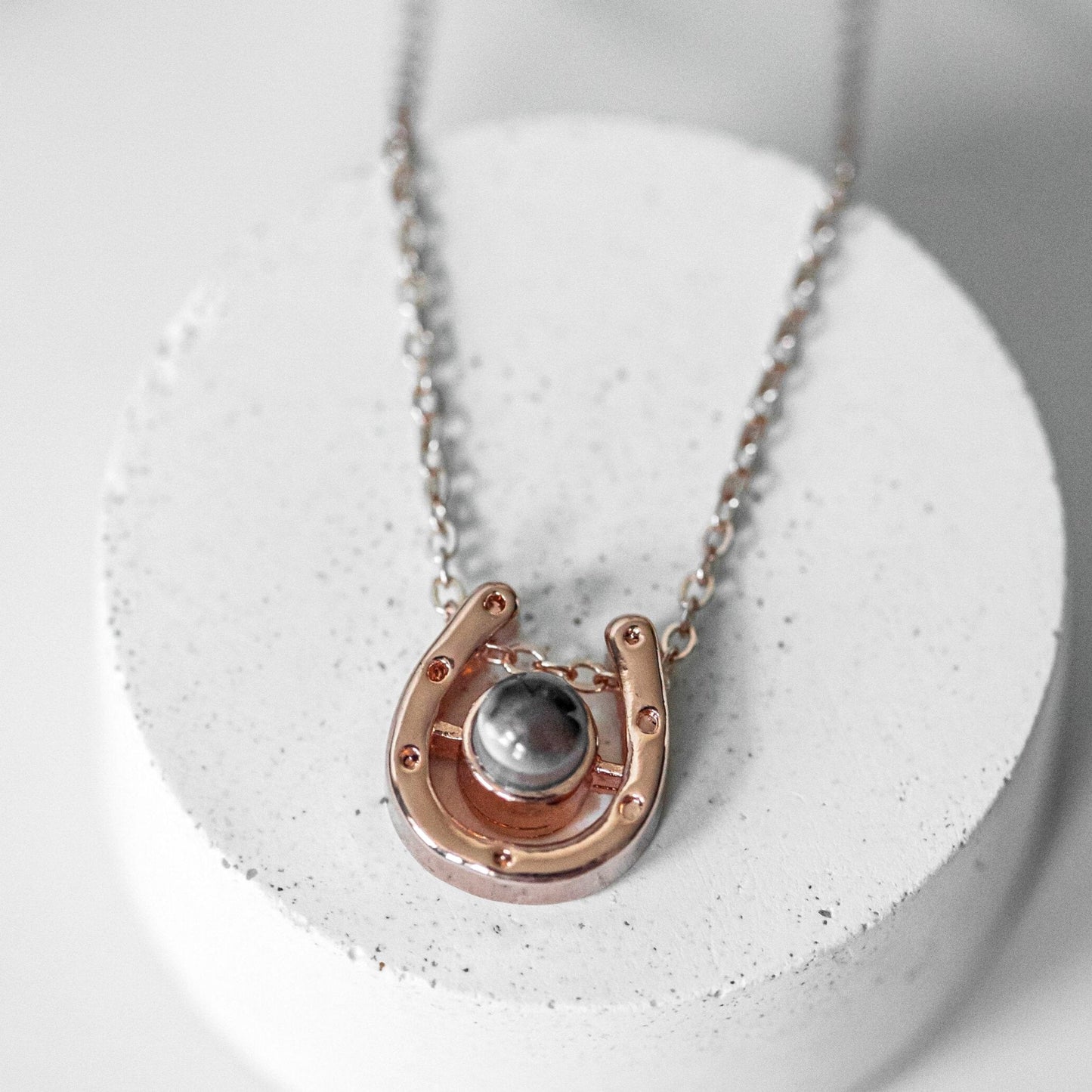 Horseshoe projection necklace