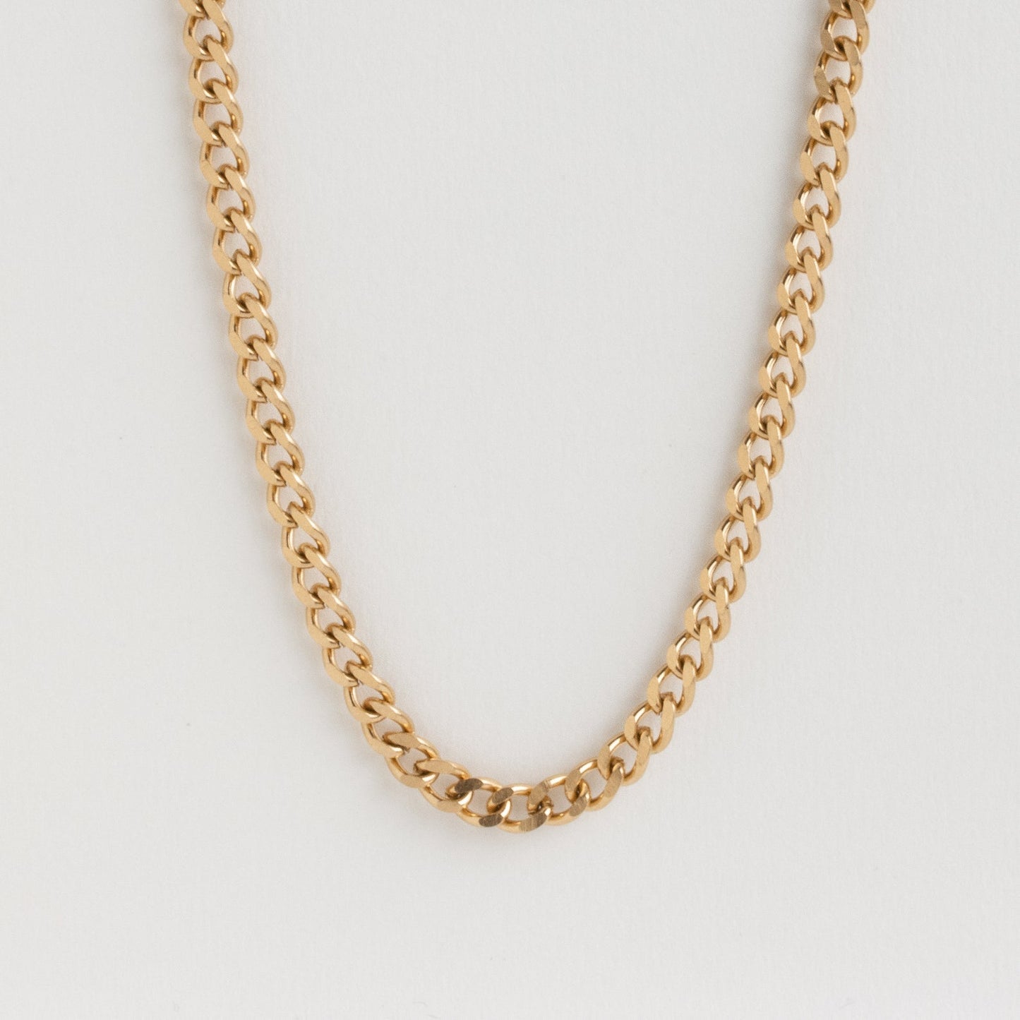 Blake Thick Curb Necklace