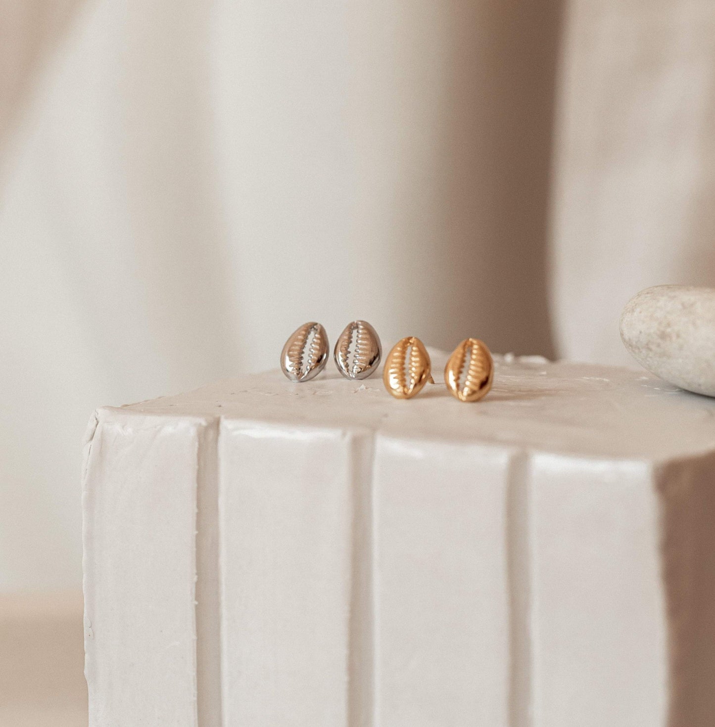 Cowry Shell Studs